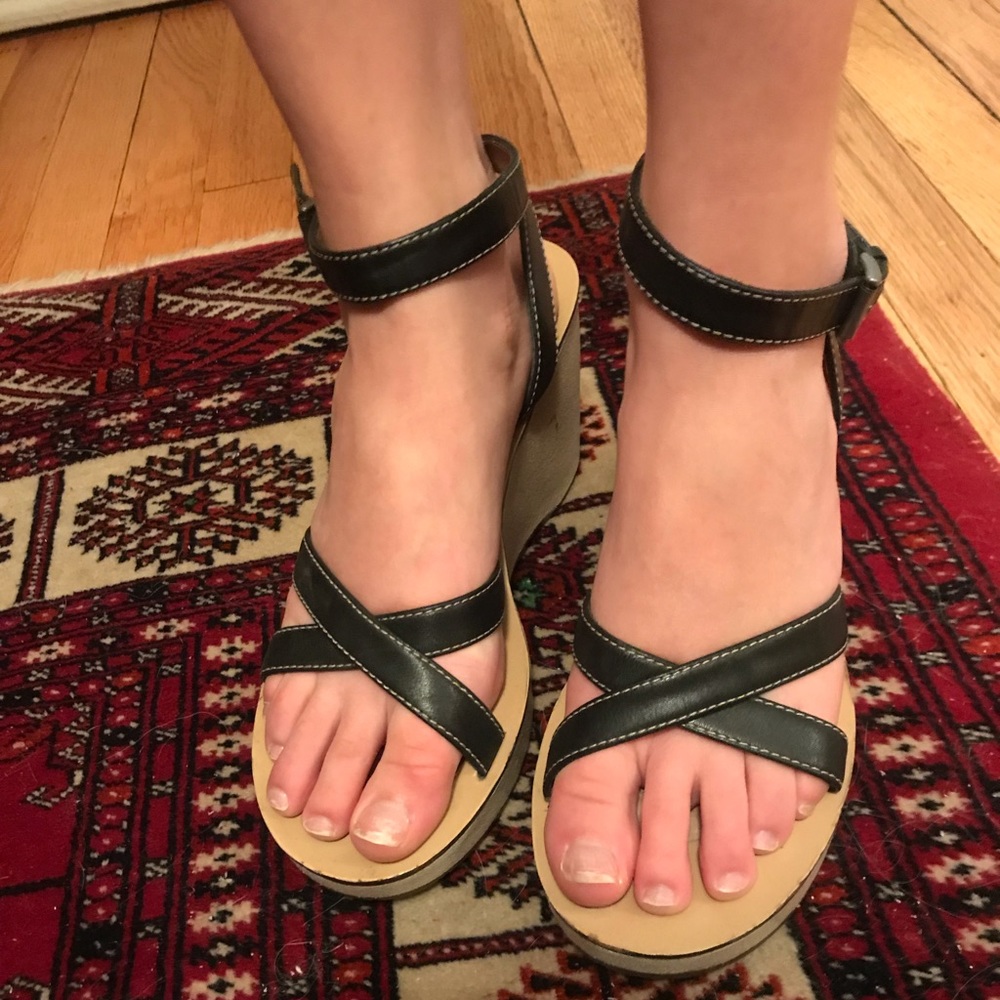 Indigo wedges